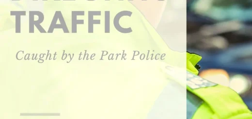 Directing Traffic ebook cover, cop in uniform directing traffic